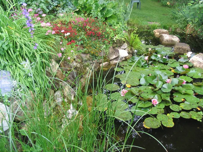 Image qui illustre: Les Jardins D’eaux Vives à Saint-Laurent - 0