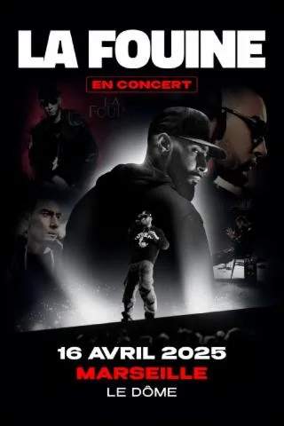 Image qui illustre: La Fouine