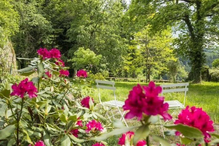 Image qui illustre: Visite du parc et des jardins du château de Figon - Ensemble Arboré Remarquable