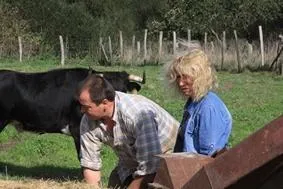 Image qui illustre: La ganaderia du Vert Galant