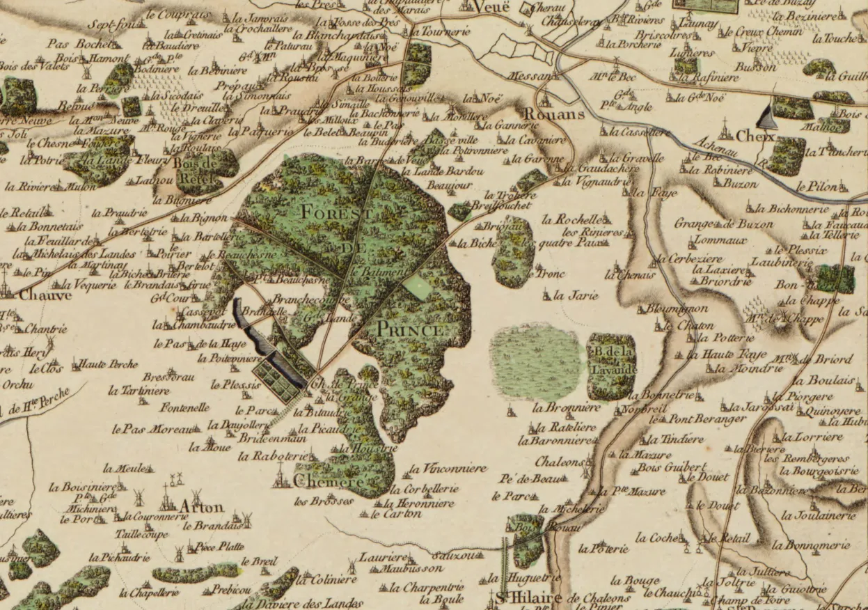 Image qui illustre: La Forêt De Princé à Chaumes-en-Retz - 0