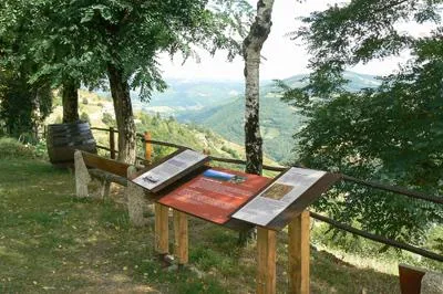 Image qui illustre: Circuit De Découverte Au Fel: Un Village, Un Vignoble