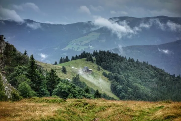 Image qui illustre: Massif des Vosges