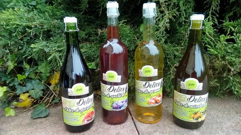Image qui illustre: Production De Vins De Petits Fruits à Lépanges-sur-Vologne - 0