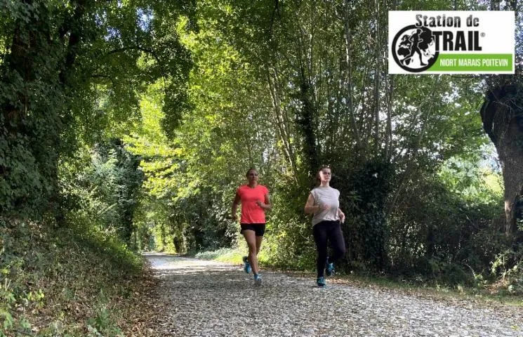 Image qui illustre: Bords de Sèvre et Hauts de Salbart - Station de Trail