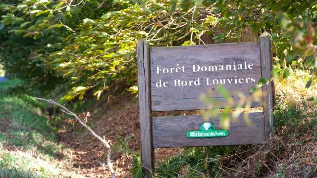 Image qui illustre: Forêt domaniale de Bord-Louviers