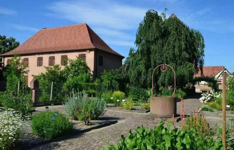 Image qui illustre: Visitez un jardin monastique