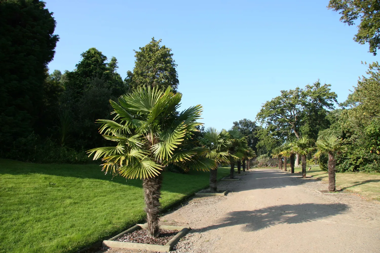 Image qui illustre: Parc Du Pointeau à Saint-Brevin-les-Pins - 1