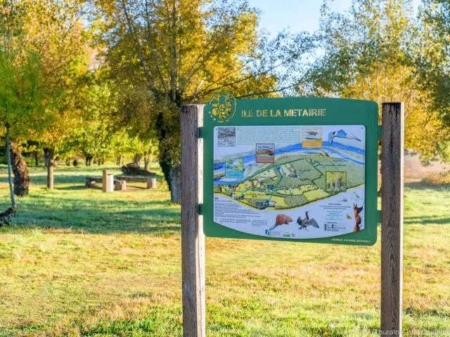 Image qui illustre: Sentiers de l’Ile de la Métairie – sentier de la forêt