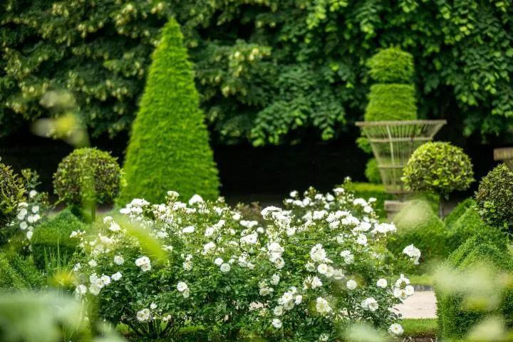 Image qui illustre: Eveillez vos sens en visitant les jardins du Château de la Ballue