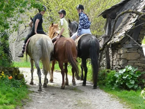 Image qui illustre: Promenade à cheval au Batut à Murols - 0