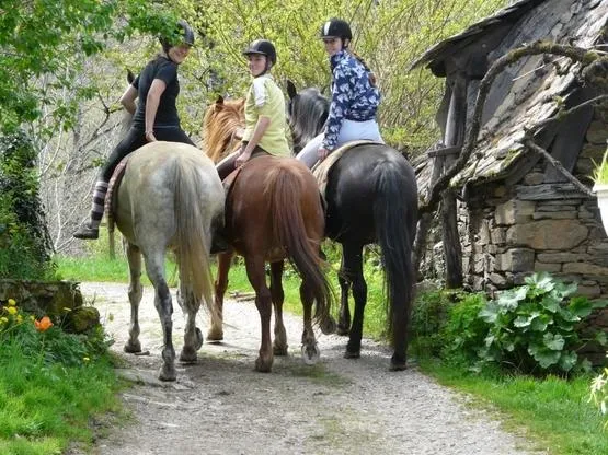 Image qui illustre: Promenade à cheval au Batut