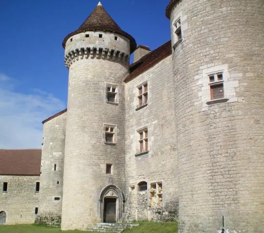 Image qui illustre: Château De Vaillac