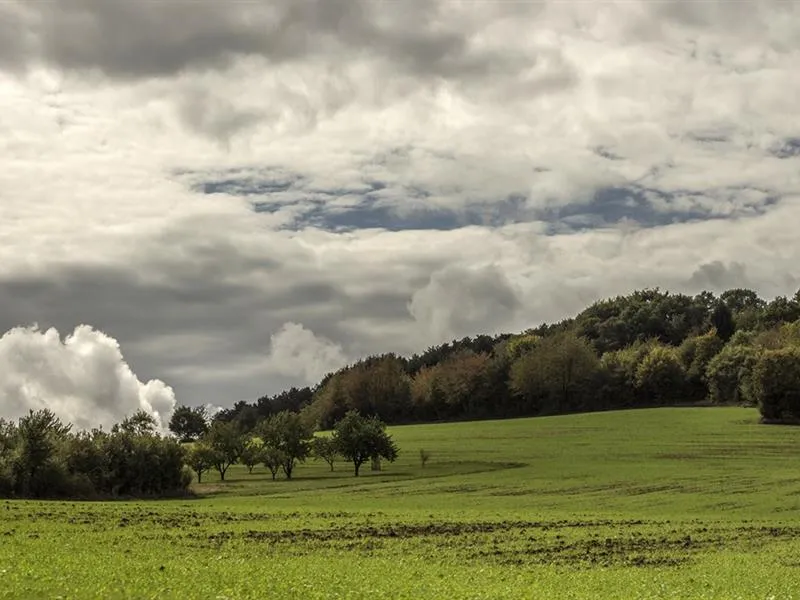 Image qui illustre: Balade Entre Bois Et Jardins à Hargarten-aux-Mines - 0