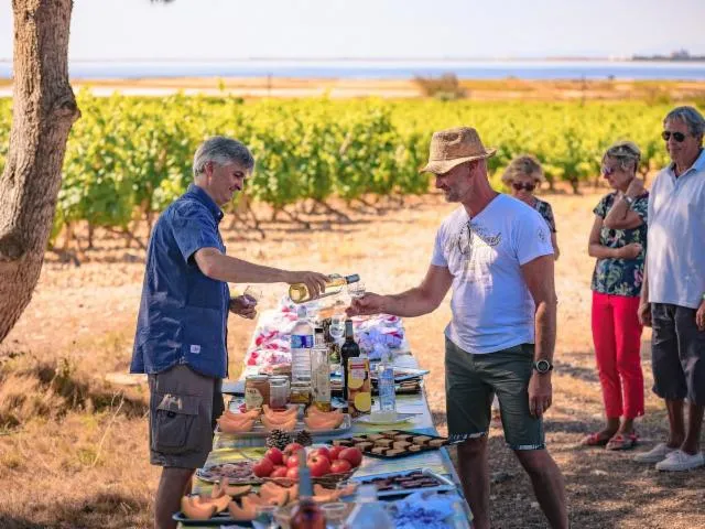 Image qui illustre: Balade Vigneronne