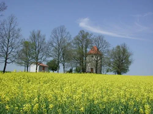 Image qui illustre: Saint-caprais-de-lerm, Dans Les Coteaux De L'agenais