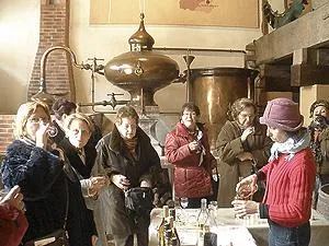 Image qui illustre: Musée du Cognac et du vin