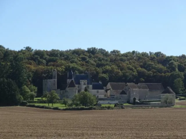 Image qui illustre: Château De Faulin