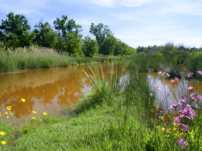 Image qui illustre: Au Teich, du Domaine de Fleury au Domaine des 4 paysans à Le Teich - 1