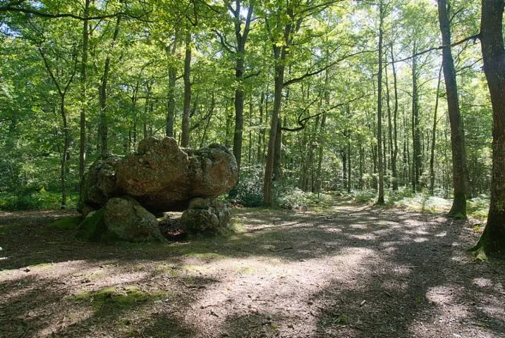 Image qui illustre: Pierre Courcoulée