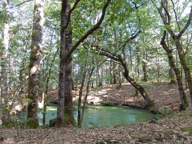 Image qui illustre: Boucle des Eaux - Lanquais