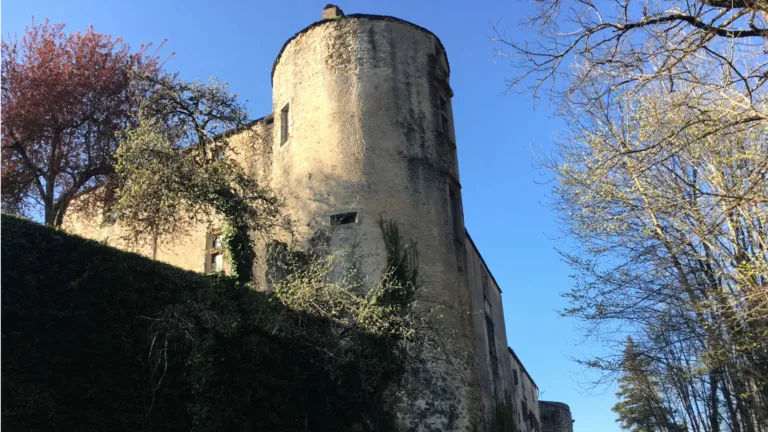 Image qui illustre:  Rêveries au Château  : visites accompagnées des salles, cours et jardins investis par l'art contemporain à Fontrieu - 0
