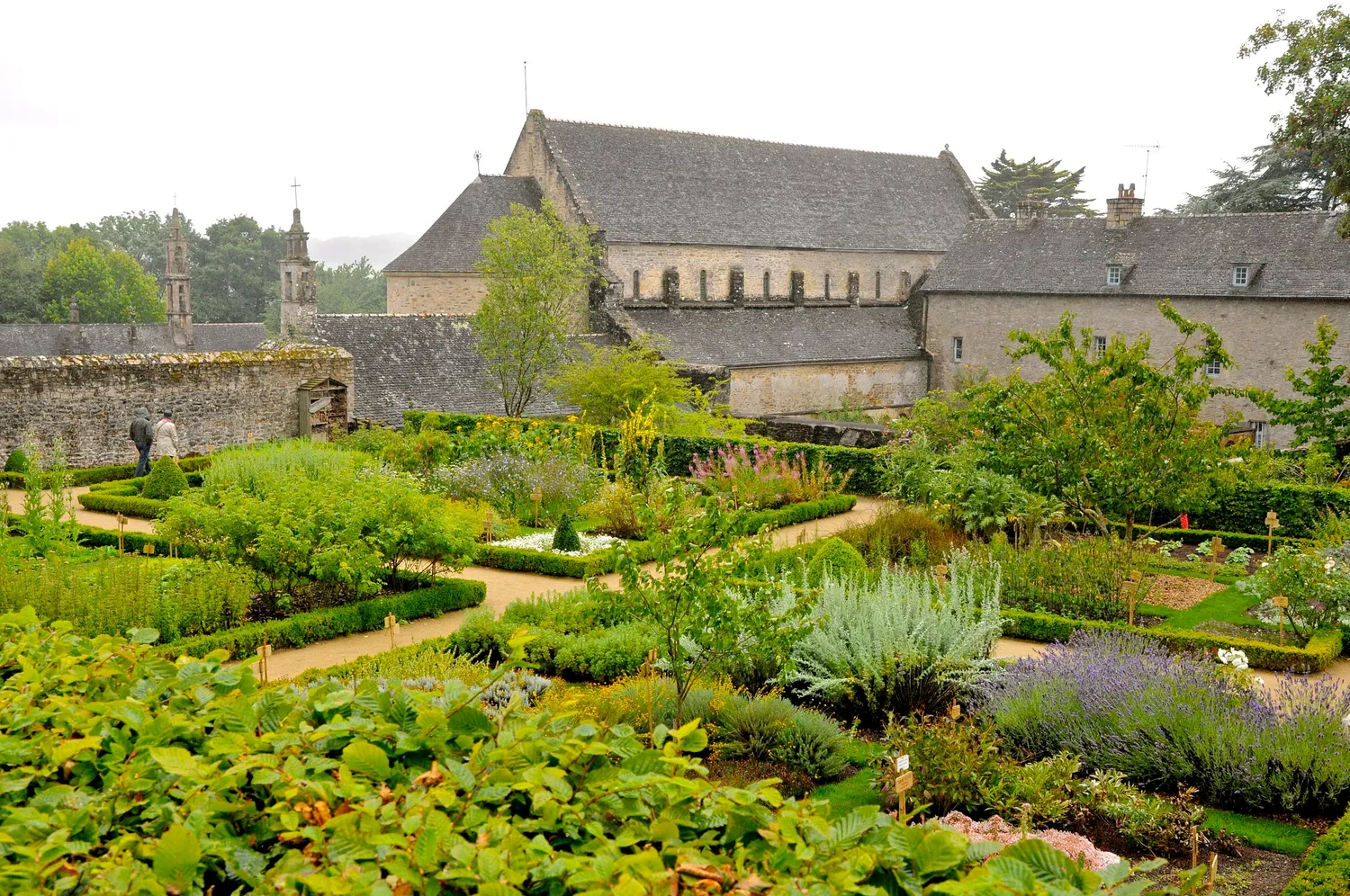 Image qui illustre: Abbaye de Daoulas à Daoulas - 0