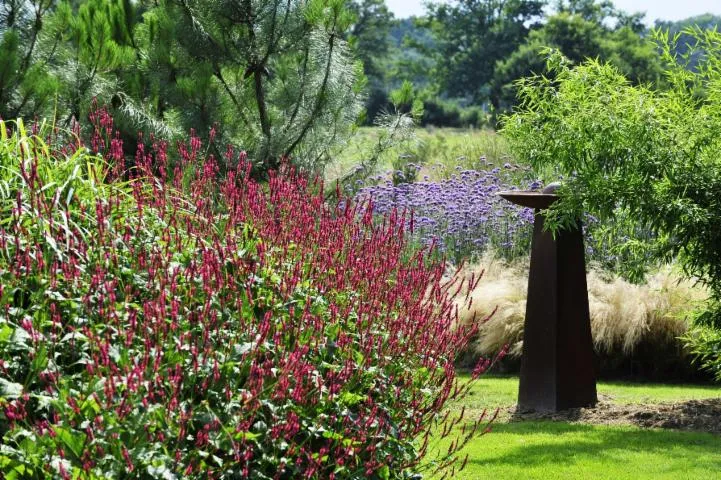 Image qui illustre: Les Jardins De La Poterie Hillen