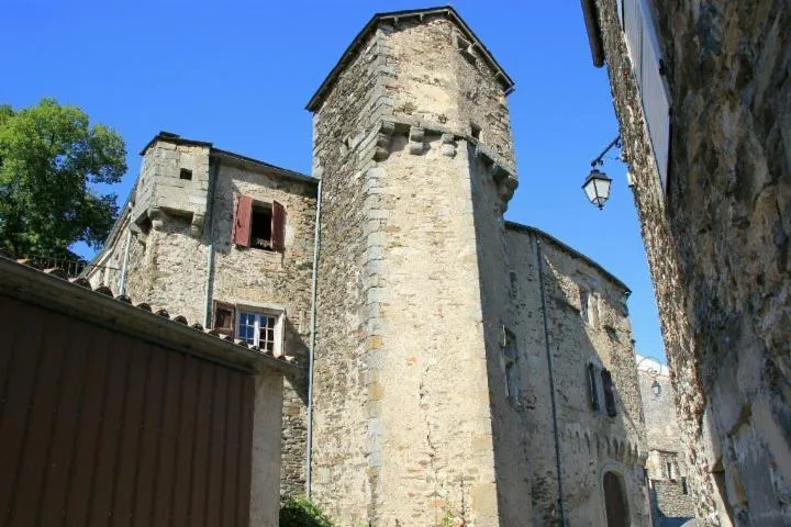 Image qui illustre: Visite du château de La Roque-Papailhonac