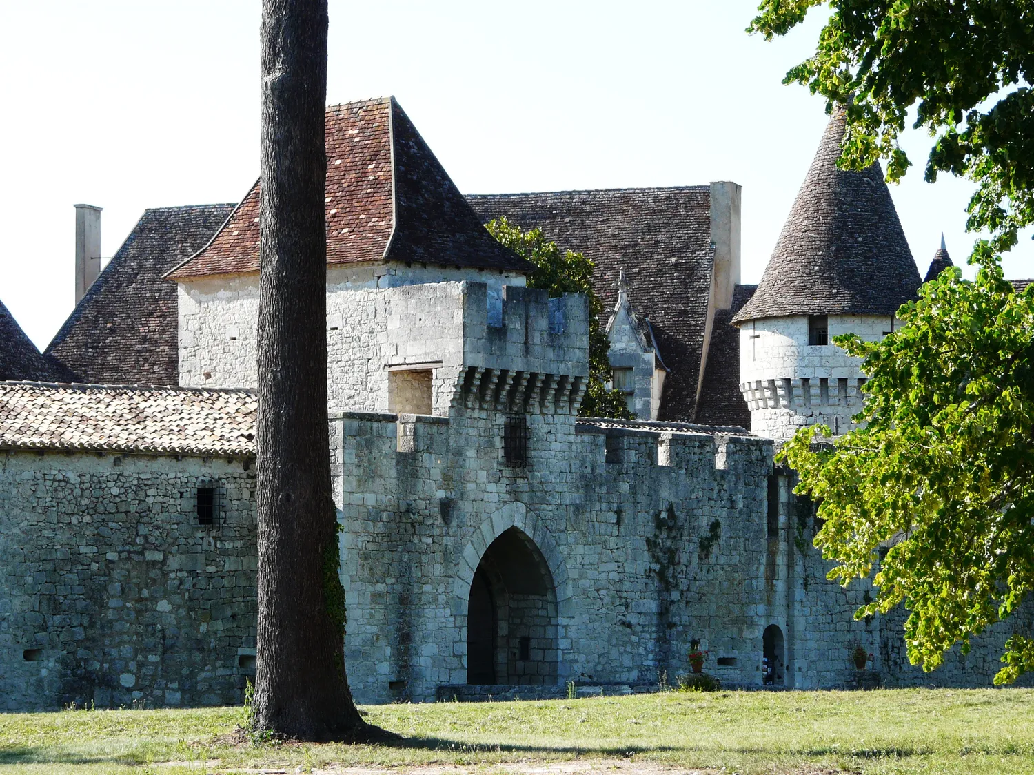 Image qui illustre: Château De Bridoire à Ribagnac - 1
