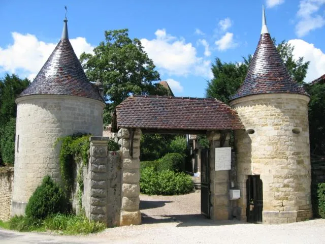 Image qui illustre: Le château de Cléron