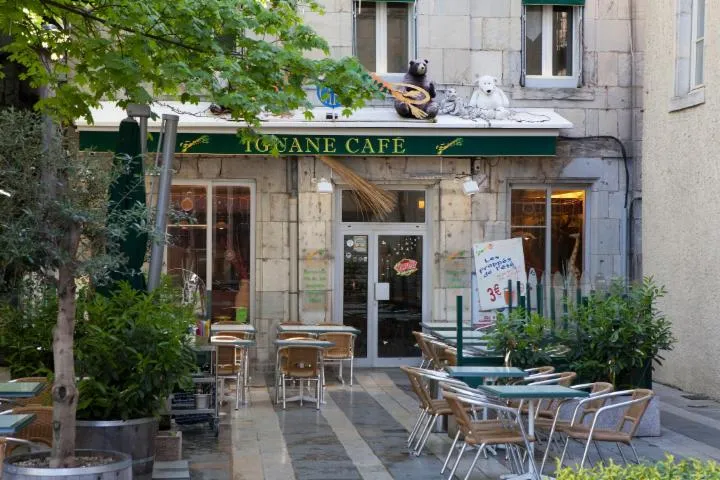 Image qui illustre: Iguane Café