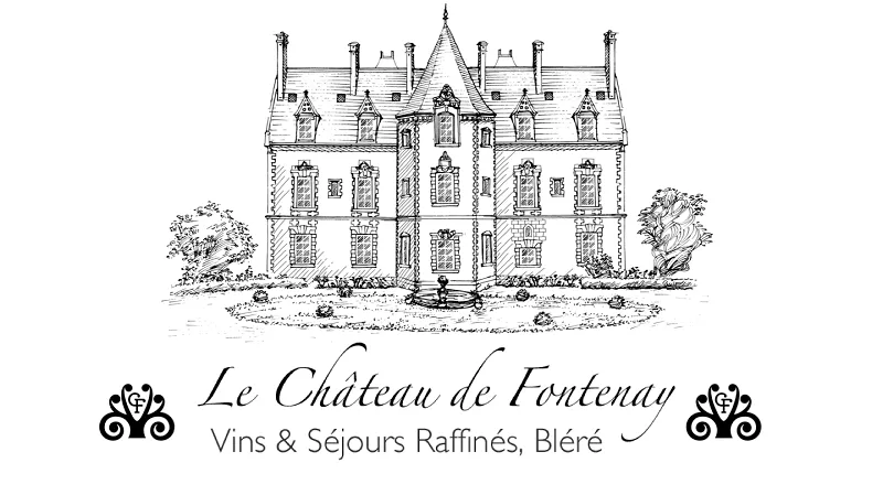 Image qui illustre: Week-end Bien-être Au Château De Fontenay à Bléré - 0