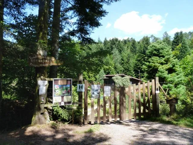 Image qui illustre: Jardin Botanique De Gondremer