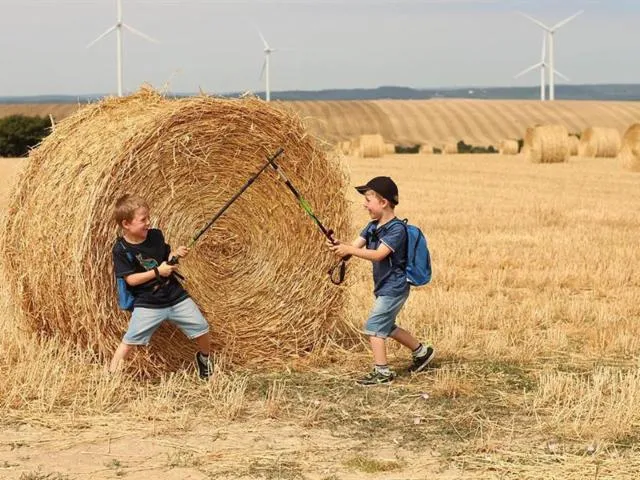 Image qui illustre: Sur Les Pas D'éole