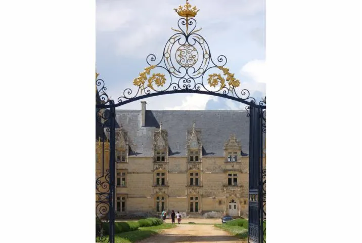 Image qui illustre: Château De La Roche