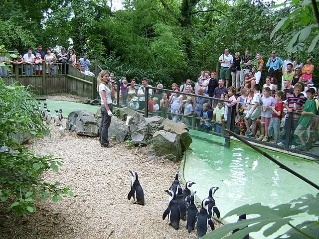 Image qui illustre: Zoo des Sables