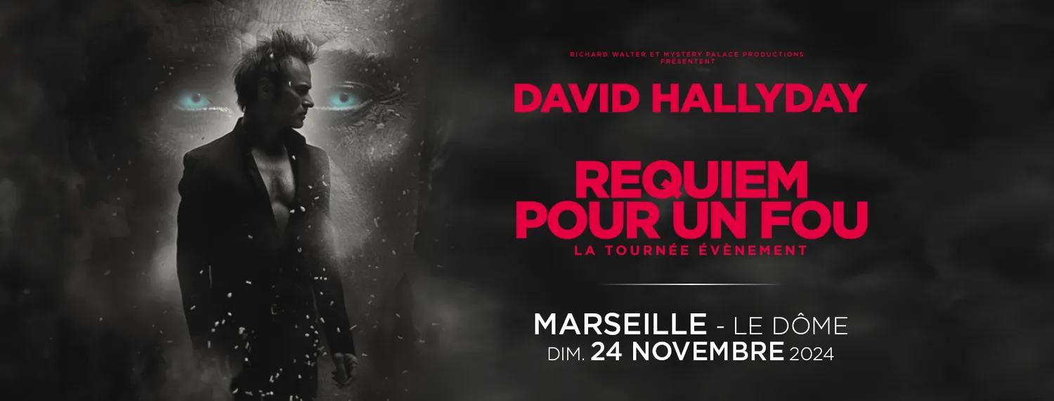 Image qui illustre: DAVID HALLYDAY, REQUIEM POUR UN FOU à Marseille - 0