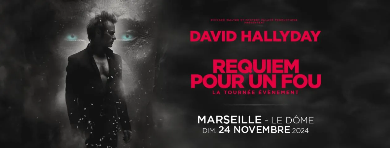 Image qui illustre: DAVID HALLYDAY, REQUIEM POUR UN FOU