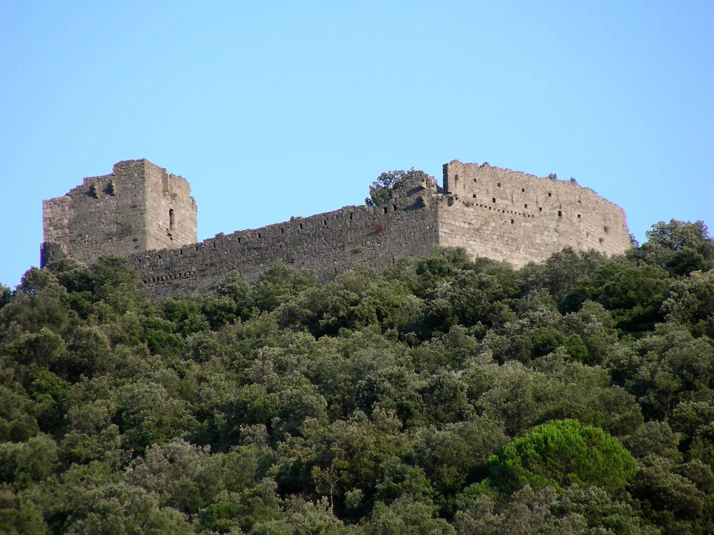 Image qui illustre: Château De Tornac à Tornac - 0