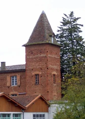 Image qui illustre: Château du Travet