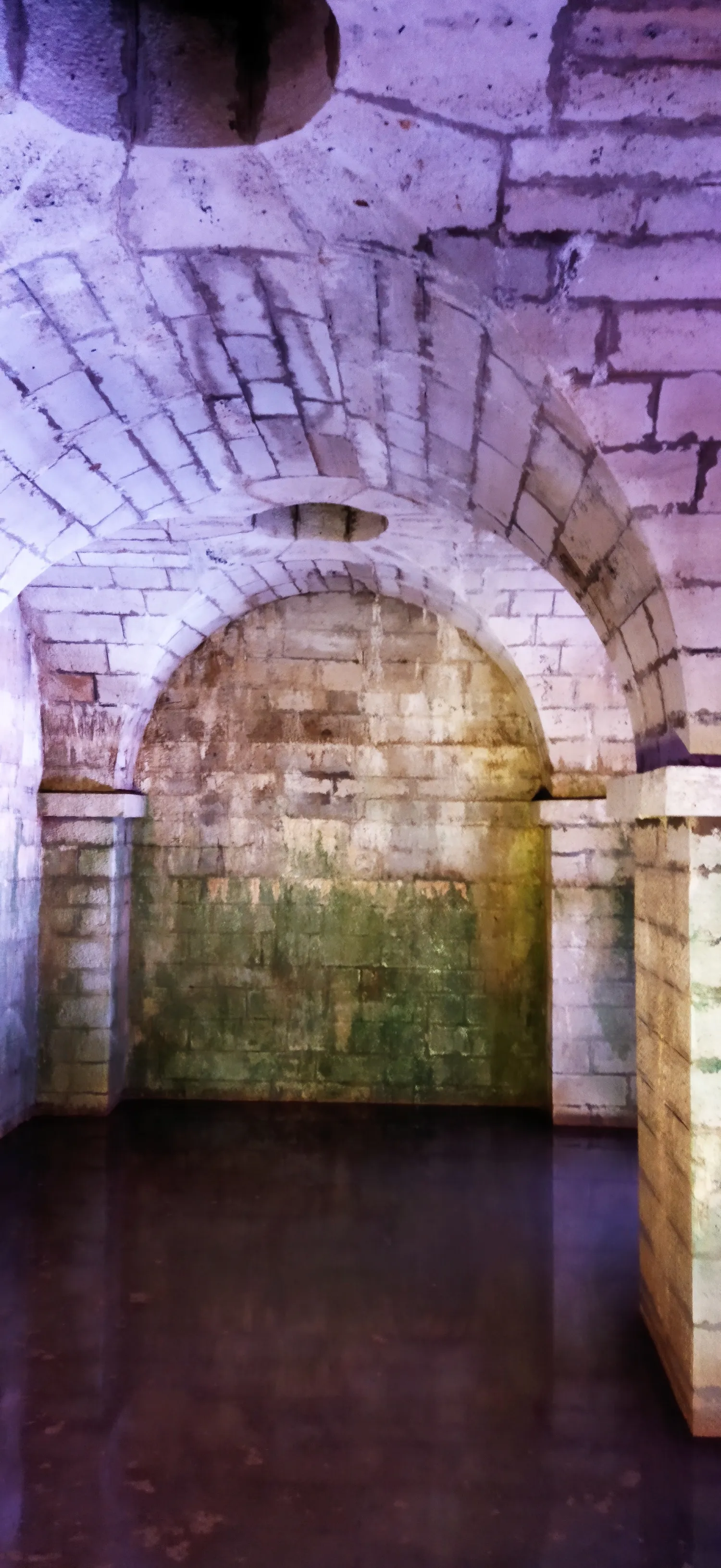 Image qui illustre: La crypte du Bayaà de la légende à la source de vie à Salies-de-Béarn - 0