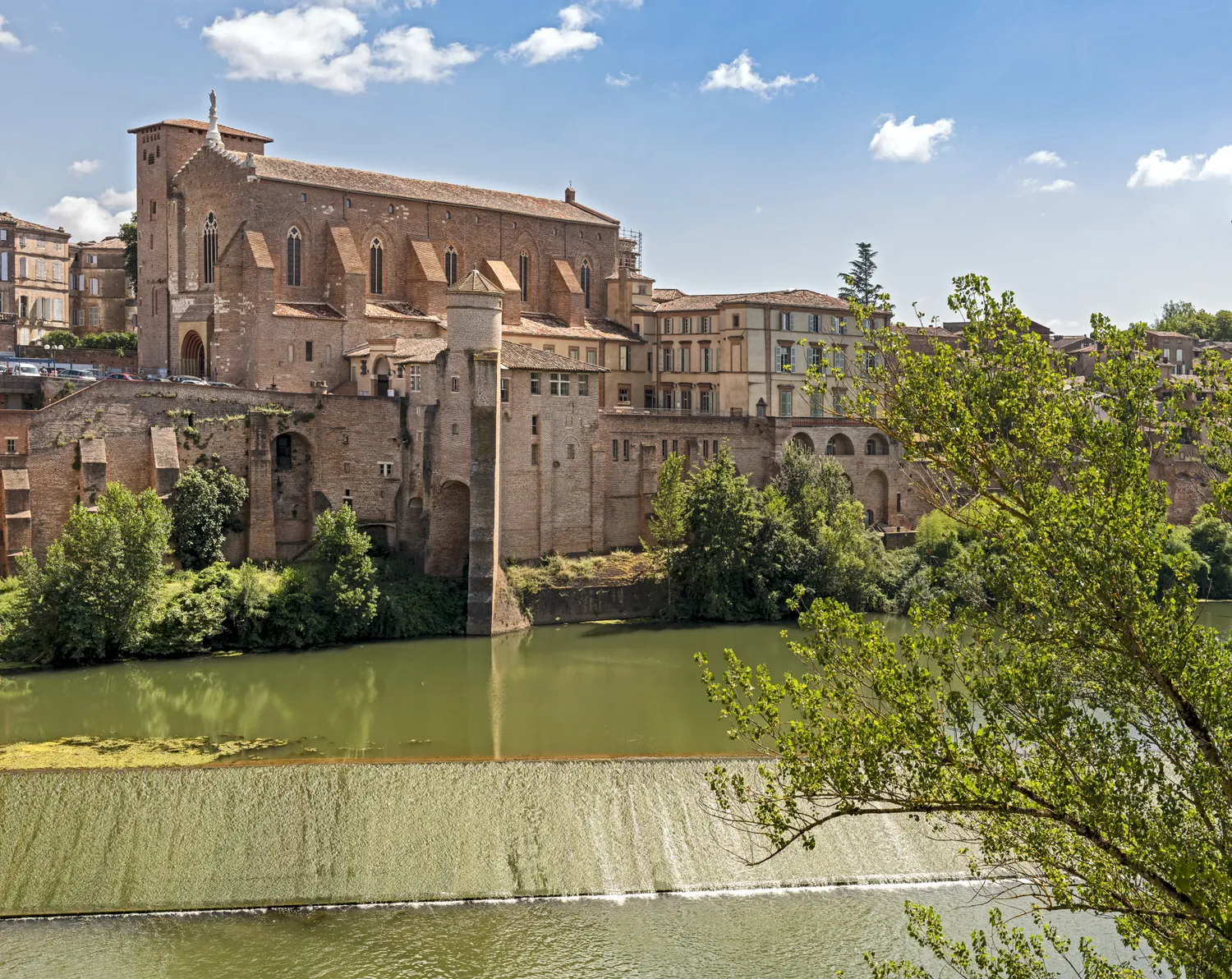 Image qui illustre: Abbaye Saint-michel à Gaillac - 0