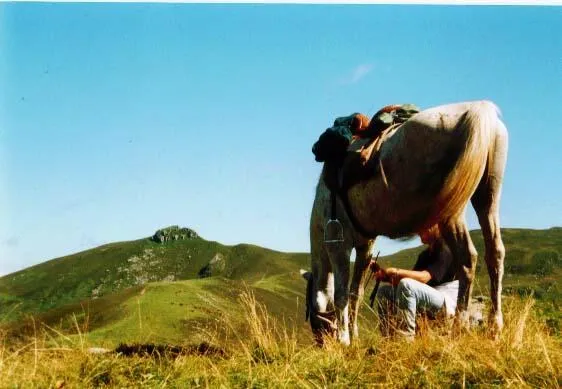 Image qui illustre: Ranch du Barrez - Randonnée équestre