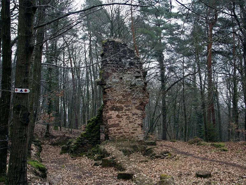 Image qui illustre: Ruine De La Frauenkirch à Offwiller - 0