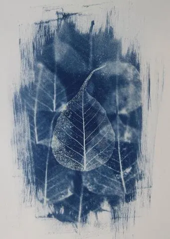 Image qui illustre: Exposition - Cyanotype