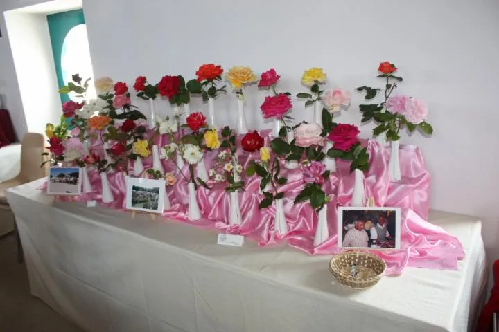 Image qui illustre: Exposition de roses