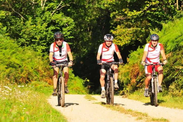 Image qui illustre: VTT Carladez : Le vallon d'Albinhac