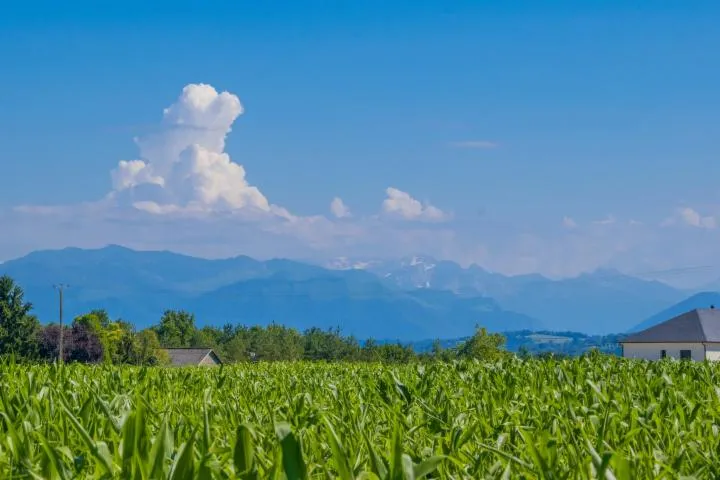 Image qui illustre: Poey-de-lescar - La Vallée De L'ousse