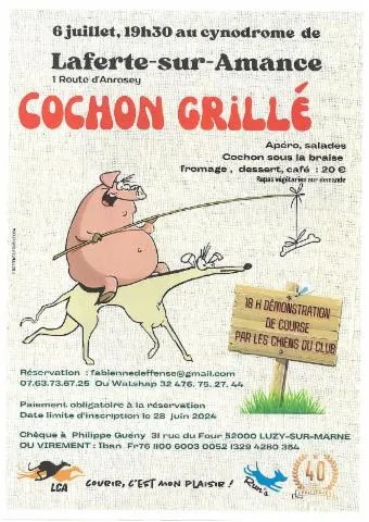 Image qui illustre: Démonstration De Courses De Lévriers + Cochon Grillé